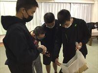 EA620287-64D6-4E55-A99D-B8B41E9062A4_R_R