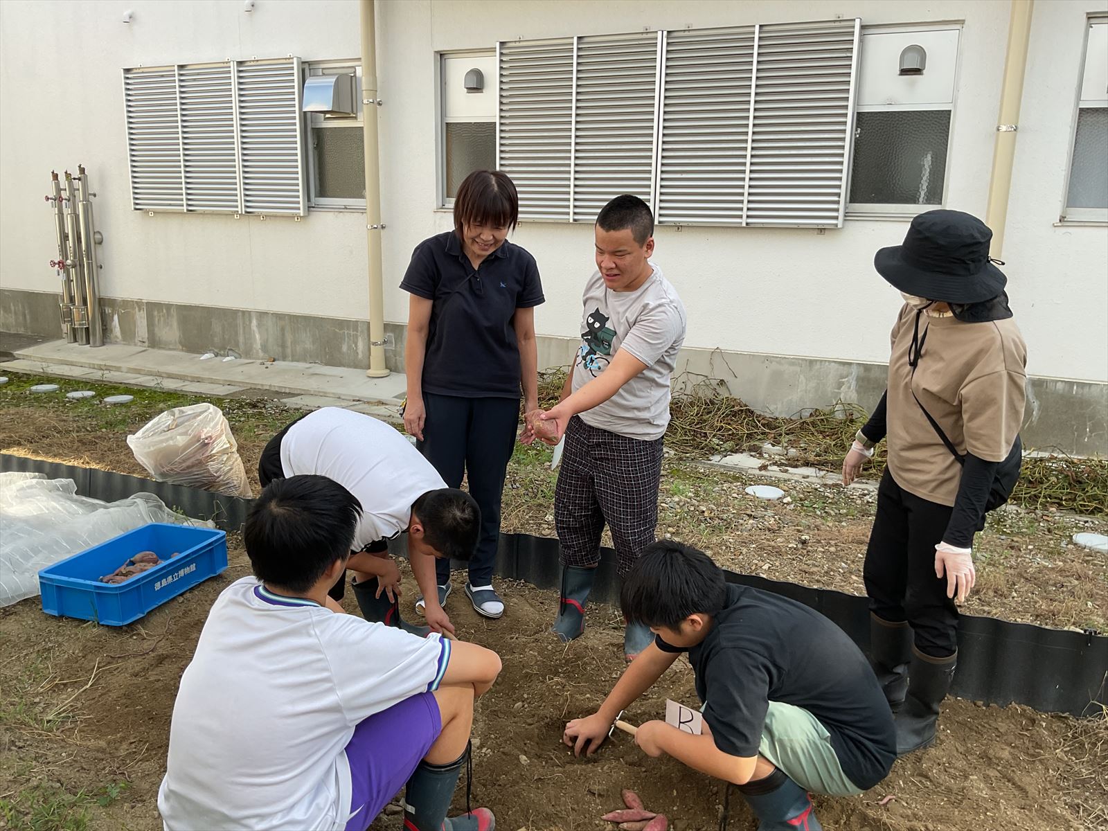 さつまいも掘り (12)_R