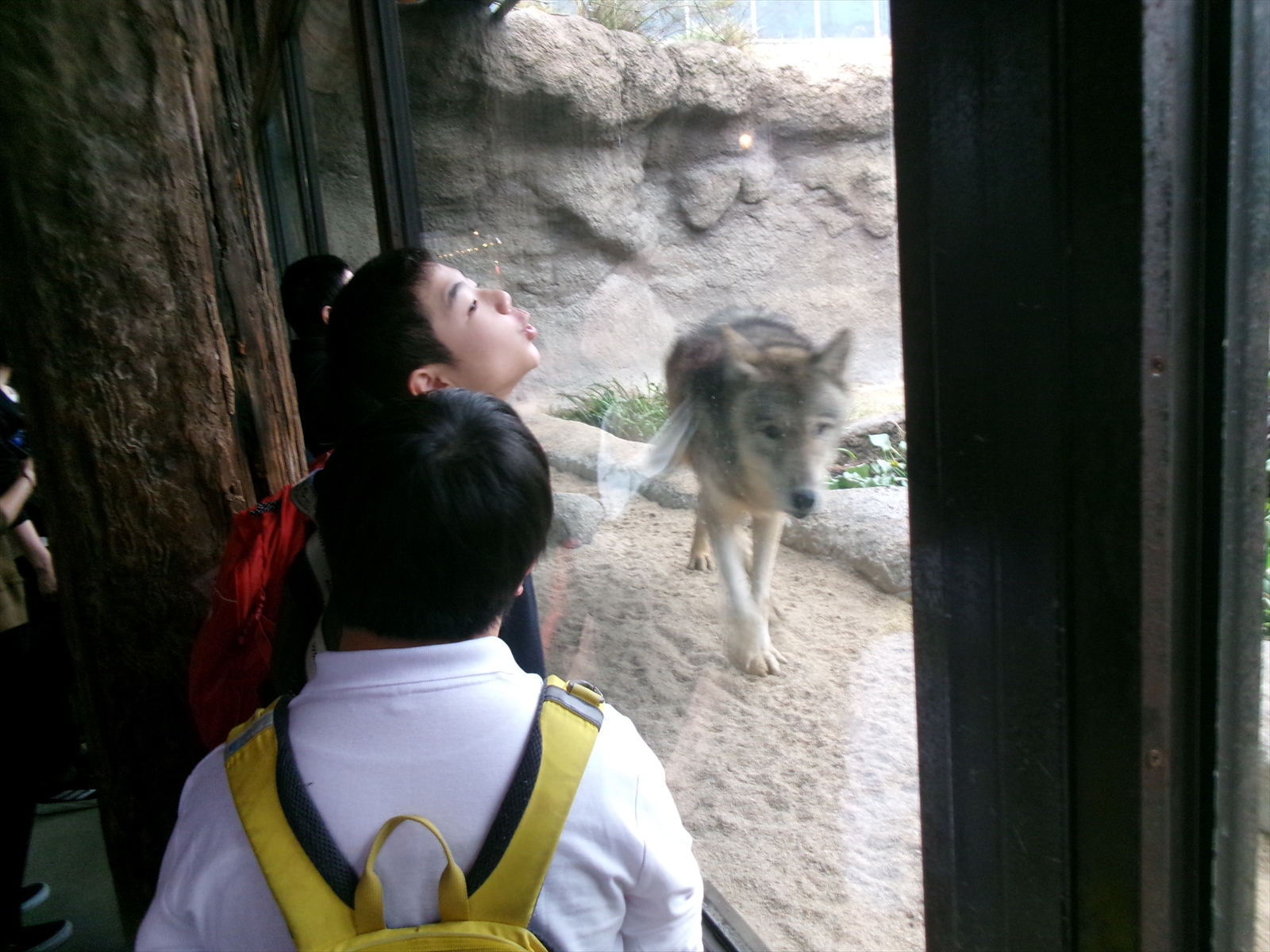 神戸どうぶつ王国